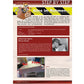 Airbrush Step by Step Magazine - 03/2012 4