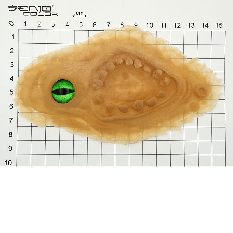 Latex application biting one-eye to stick with centimeter indications