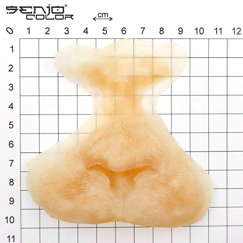 Cat snout latex application dimensions