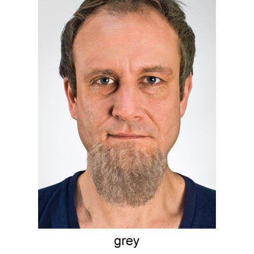 Chin beard long gray