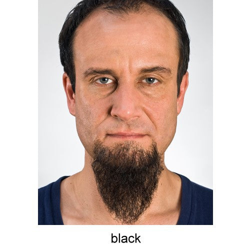 Chin beard pointed black