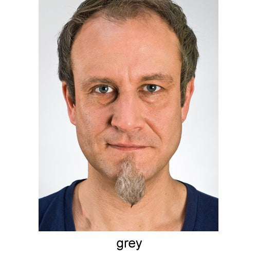 Goatee gray