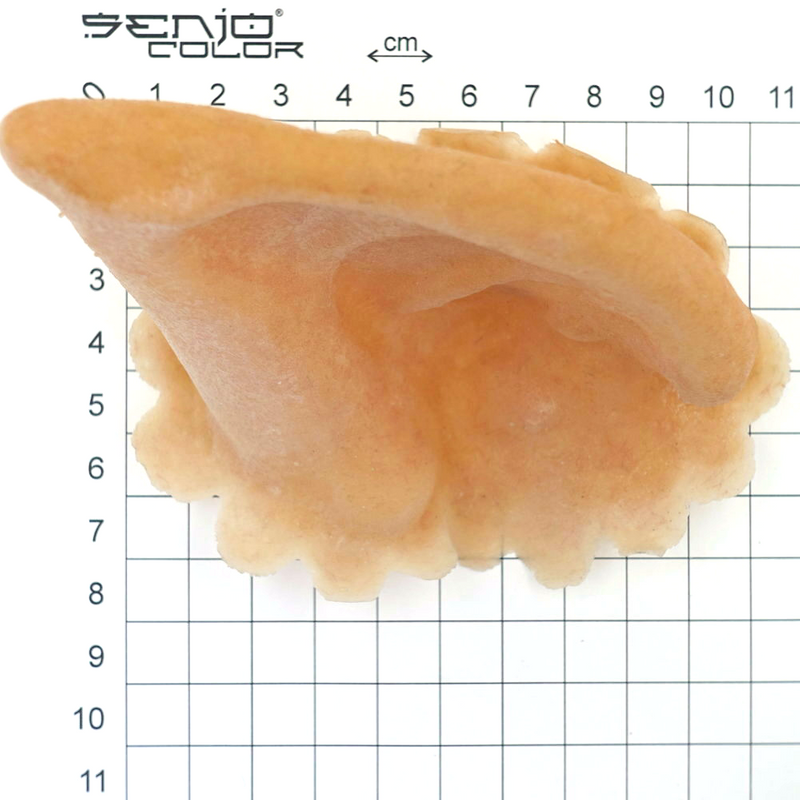 Pigs Ear Size Overview 2