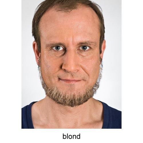 Full beard edged blonde