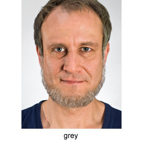 Full beard angular gray