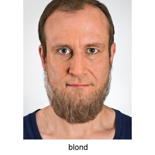 Full beard blonde