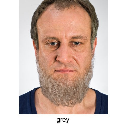 Full beard gray