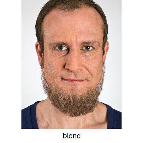 Full beard blonde