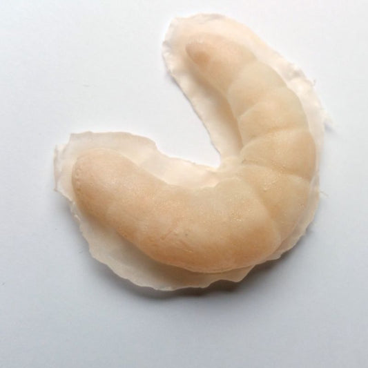 Latex application Fat worm